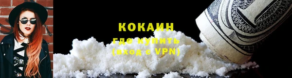 гашик Белокуриха