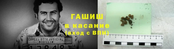 сатива Надым