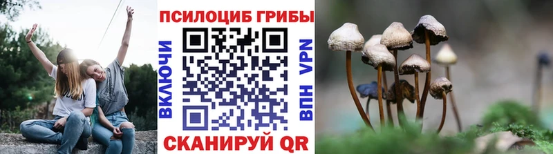 Галлюциногенные грибы MAGIC MUSHROOMS Пятигорск