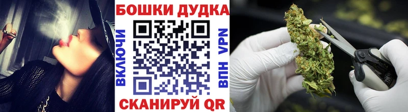продажа наркотиков  Пятигорск  Каннабис планчик 